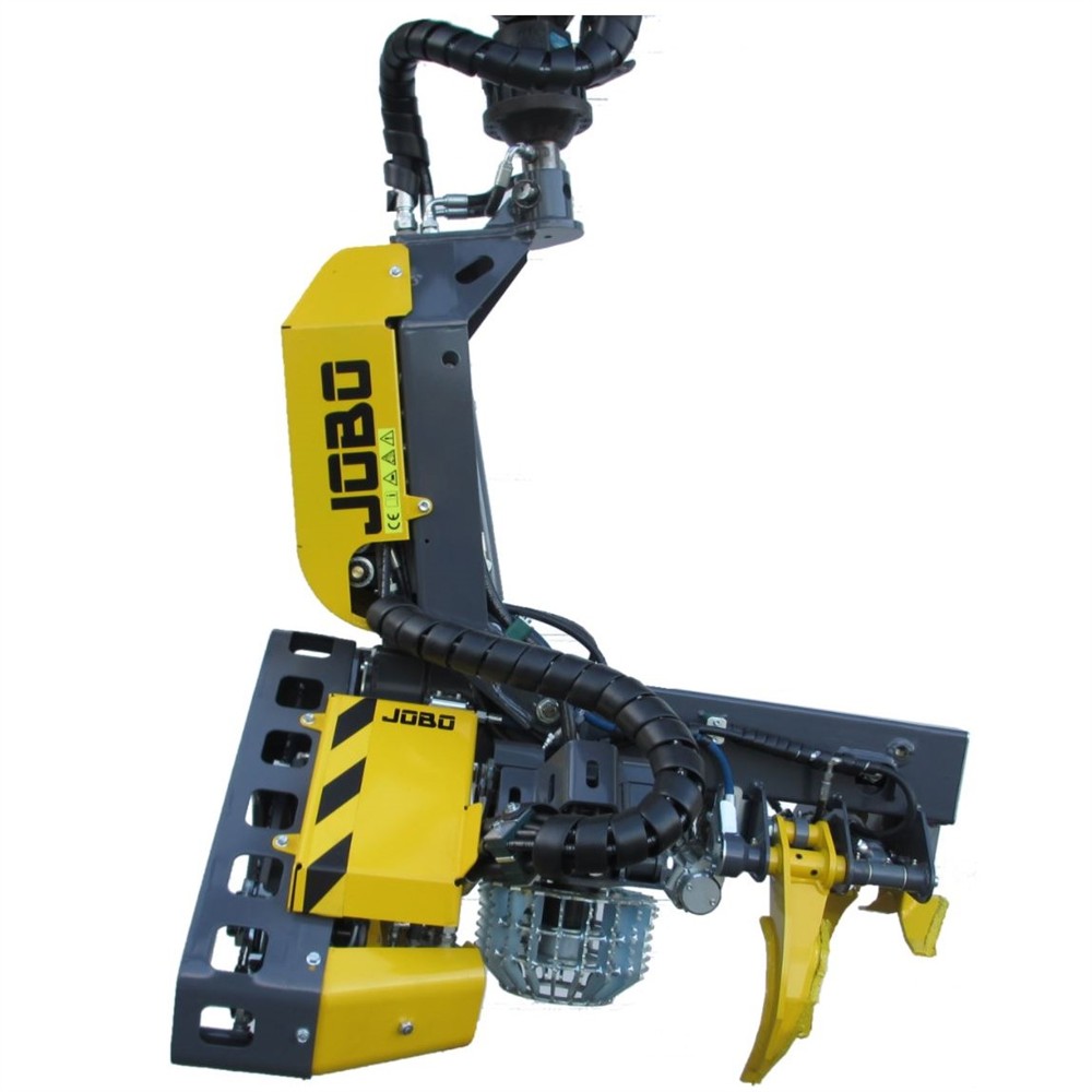 341020 jobo 1.jpg 